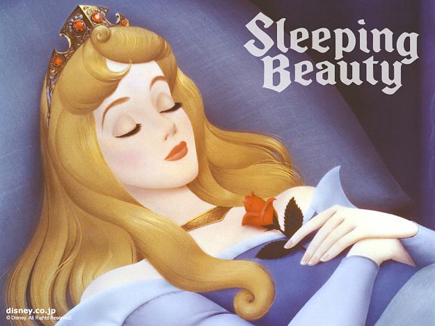 Click to Enlarge

Name: Sleeping-Beauty-Wallpaper-sleeping-beauty-6259616-1024-768.jpg
Size: 756 KB