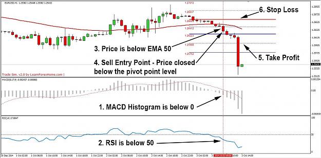 Click to Enlarge

Name: sell 1.jpg
Size: 166 KB