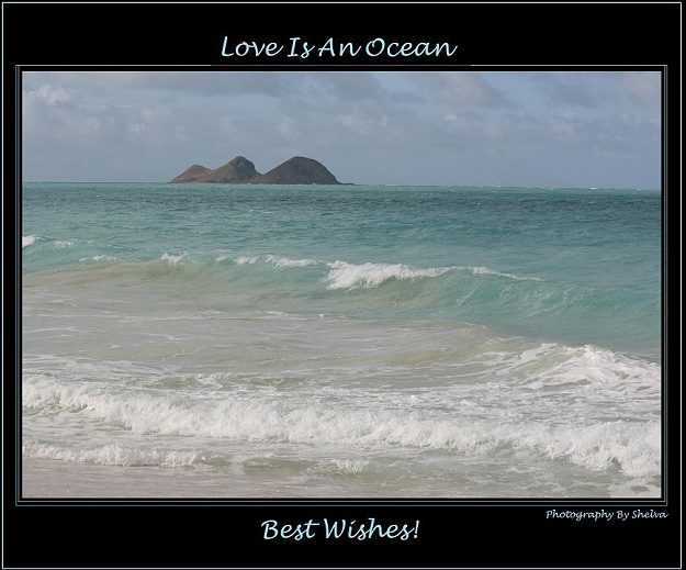 Click to Enlarge

Name: Love Is An Ocean1.jpg
Size: 75 KB