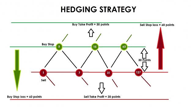 Click to Enlarge

Name: hedging strategy.jpg
Size: 127 KB