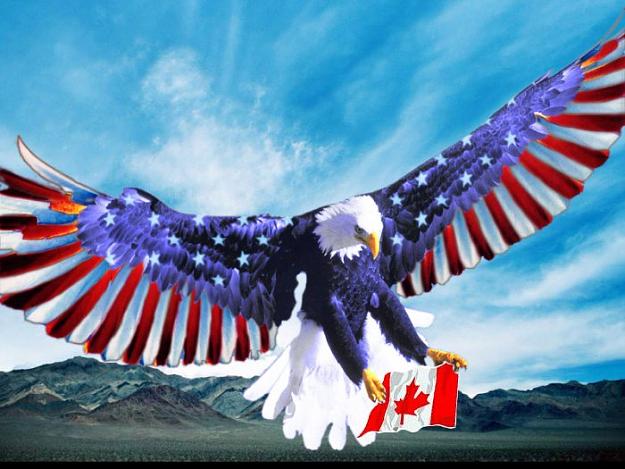 Click to Enlarge

Name: eagle-usa-canada.jpg
Size: 76 KB