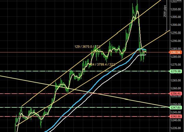 Click to Enlarge

Name: Gold 061716.JPG
Size: 57 KB