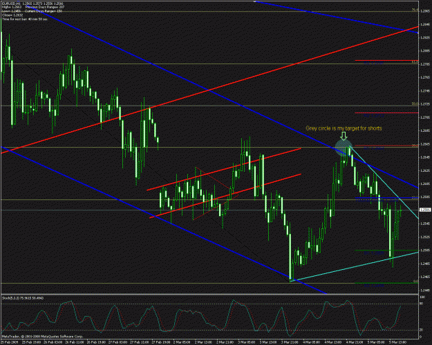 Click to Enlarge

Name: 1hr eurusd 30509b.gif
Size: 37 KB