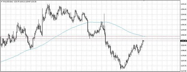 Click to Enlarge

Name: gold d1.jpg
Size: 155 KB