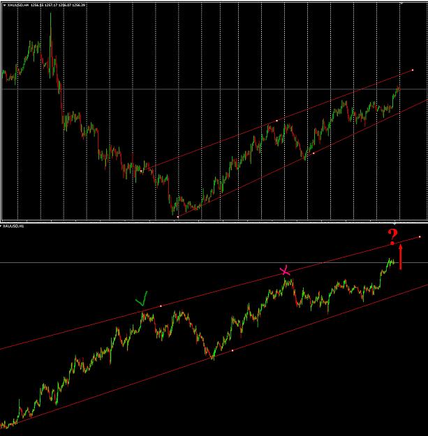 Click to Enlarge

Name: gold bef News.jpg
Size: 442 KB