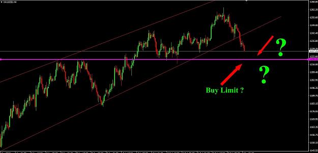 Click to Enlarge

Name: gold 1220 heading.jpg
Size: 104 KB
