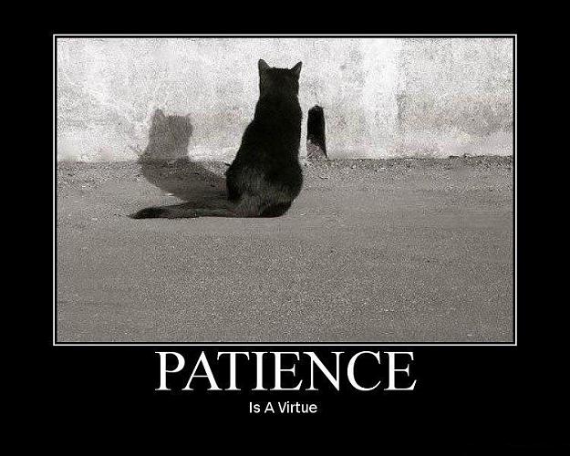 Click to Enlarge

Name: Patience.jpg
Size: 78 KB