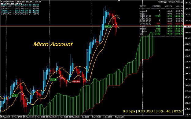 Click to Enlarge

Name: GOLDMicro.jpg
Size: 282 KB