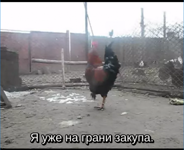 Click to Enlarge

Name: gdf.png
Size: 593 KB