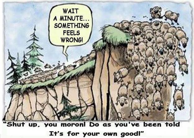 Click to Enlarge

Name: lemming.jpg
Size: 85 KB