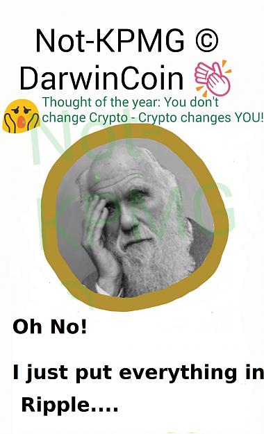 Click to Enlarge

Name: DarwinCoin_3_NK.jpg
Size: 176 KB