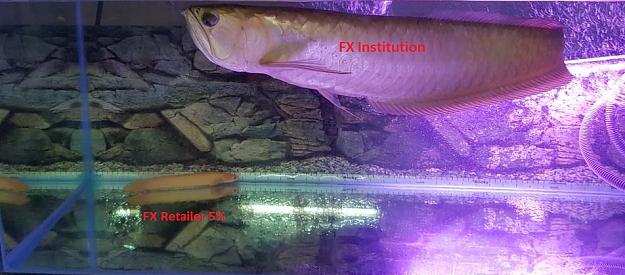 Click to Enlarge

Name: ac 1.jpg
Size: 150 KB