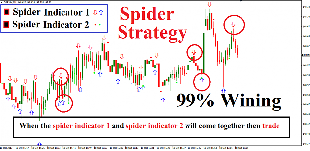 Click to Enlarge

Name: 1.Intro of spider strategy.png
Size: 66 KB