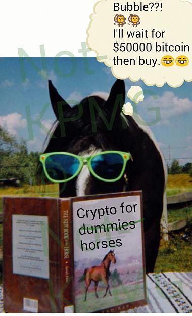 Click to Enlarge

Name: Crypto horses.jpg
Size: 267 KB