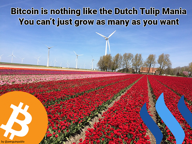 Click to Enlarge

Name: tulip,bitcoin1.png
Size: 880 KB