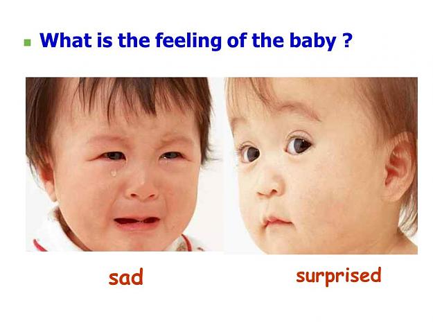 Click to Enlarge

Name: sad surpriced.jpg
Size: 57 KB