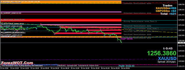 Click to Enlarge

Name: XAUUSDmM15.png
Size: 46 KB