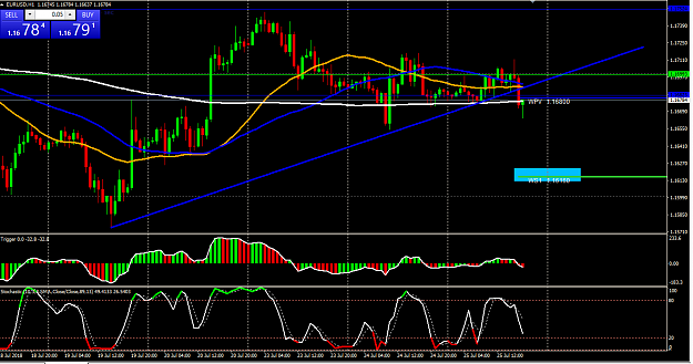 Click to Enlarge

Name: eurusd 1hr.PNG
Size: 58 KB