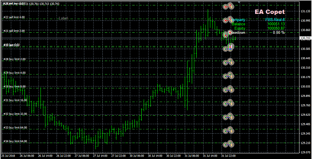 Click to Enlarge

Name: martingale_ea.png
Size: 1.4 MB