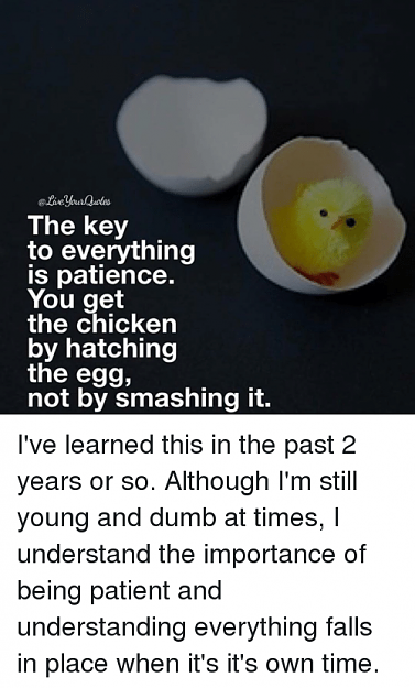 Click to Enlarge

Name: oui-the-key-to-everything-is-patience-you-get-the.png
Size: 116 KB