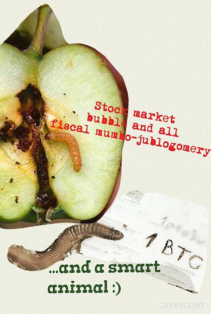 Click to Enlarge

Name: apple rotten.jpg
Size: 447 KB