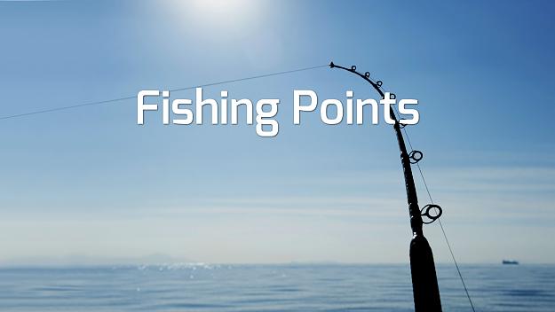 Click to Enlarge

Name: Fishing points.jpg
Size: 130 KB