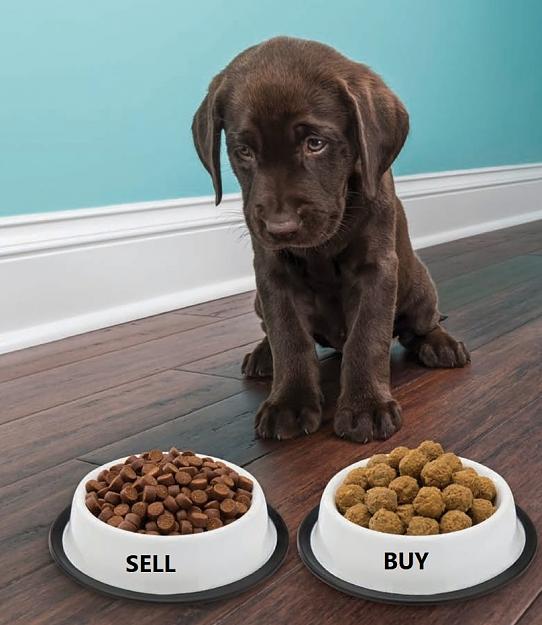 Click to Enlarge

Name: pup.jpg
Size: 161 KB
