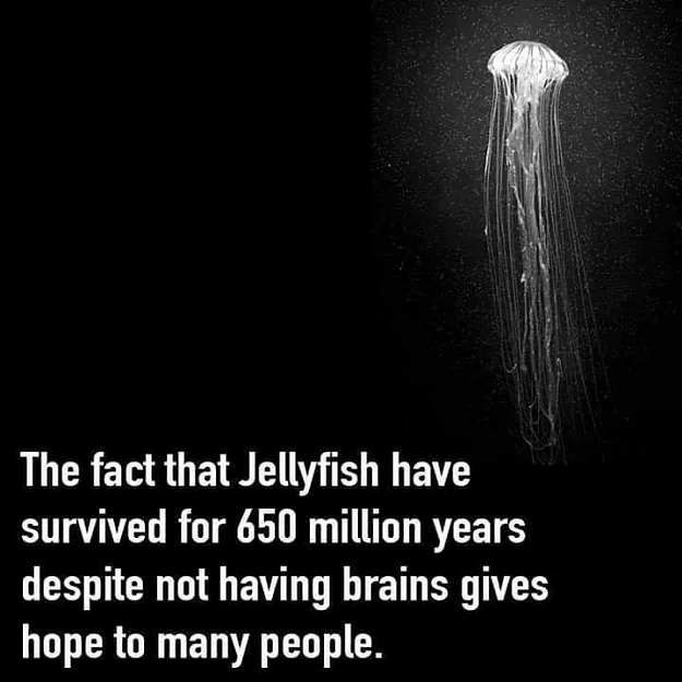 Click to Enlarge

Name: 70362967_1479560528878478_2399785072237477888_n.png
Size: 217 KB
