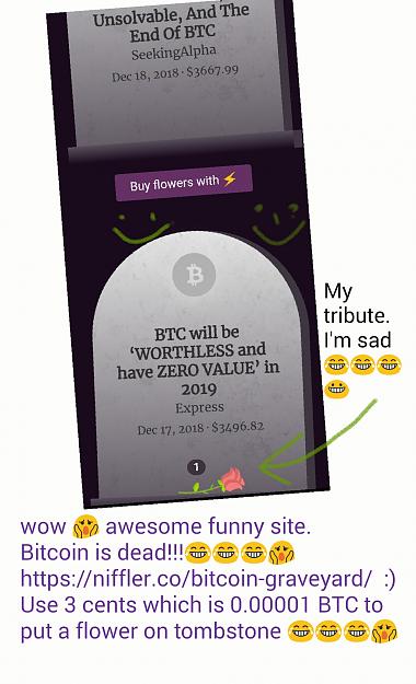 Click to Enlarge

Name: Bitcoin dead flowers 2018.jpg
Size: 246 KB