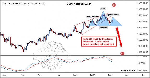 Click to Enlarge

Name: wheat cont daily 3.jpg
Size: 165 KB