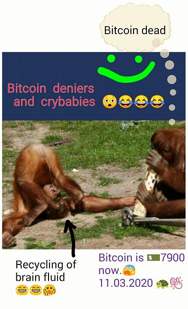 Click to Enlarge

Name: monkey crybaby pee.jpg
Size: 257 KB