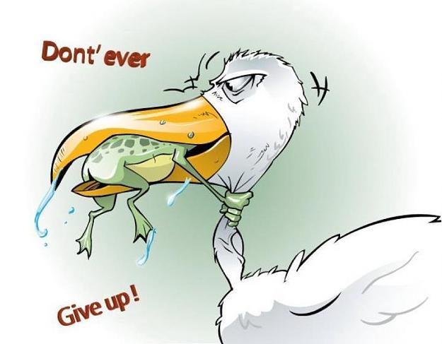 Click to Enlarge

Name: dg.jpg
Size: 36 KB