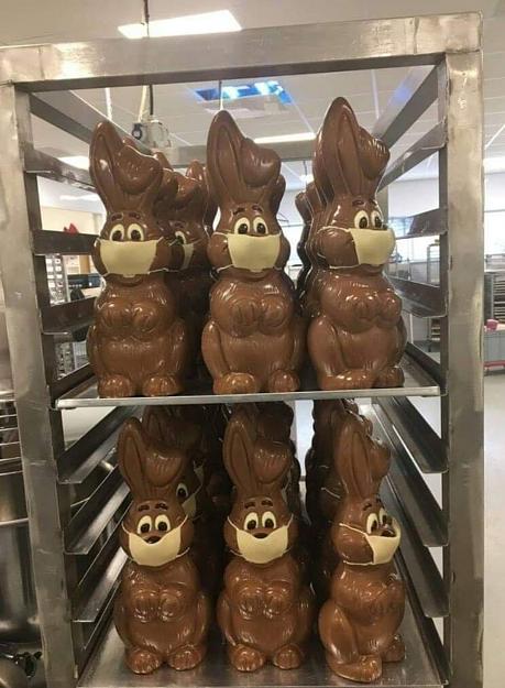 Click to Enlarge

Name: Bunnies.JPG
Size: 215 KB