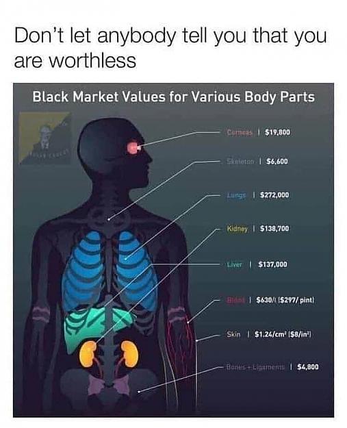 Click to Enlarge

Name: organ-values.jpg
Size: 44 KB