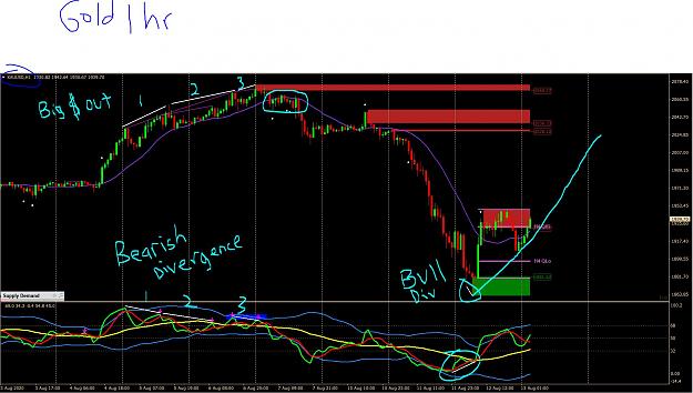 Click to Enlarge

Name: 8 12 20 gold divergence 1 hr.JPG
Size: 243 KB