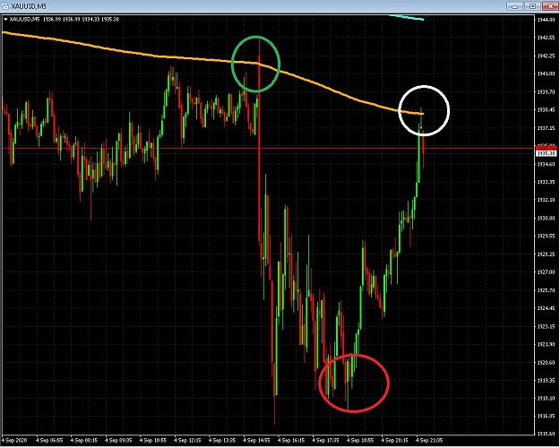 Click to Enlarge

Name: 6 daily gbp.jpg
Size: 248 KB