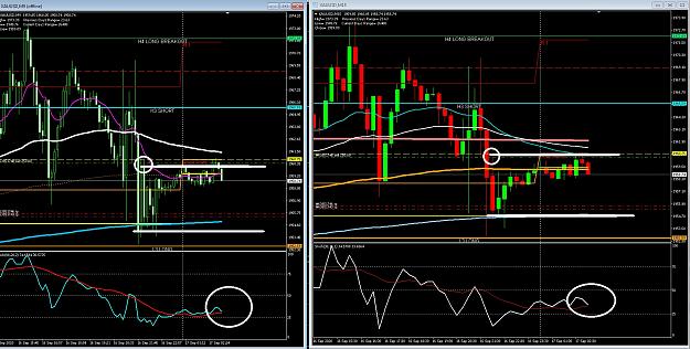 Click to Enlarge

Name: 6 daily gbp.jpg
Size: 440 KB