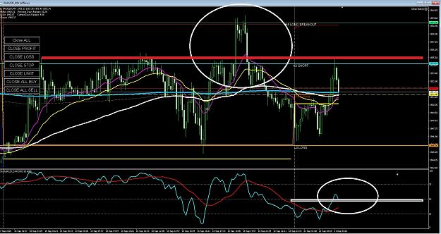 Click to Enlarge

Name: 6 daily gbp.jpg
Size: 408 KB