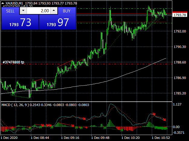 Click to Enlarge

Name: XAUUSDM1.png
Size: 43 KB