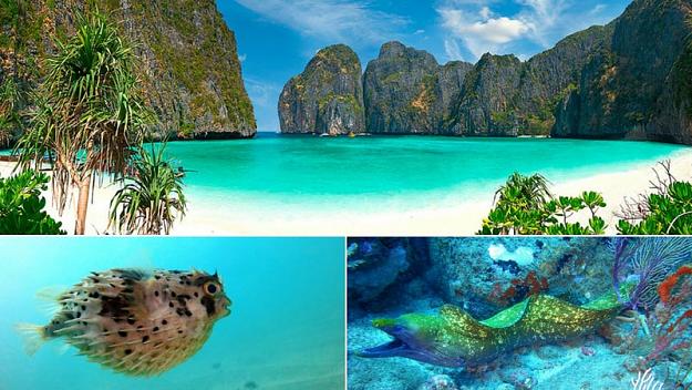 Click to Enlarge

Name: Sao-Tome-min.jpg
Size: 115 KB