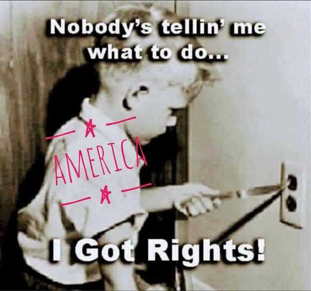 Click to Enlarge

Name: dumb has rights.jpg
Size: 85 KB