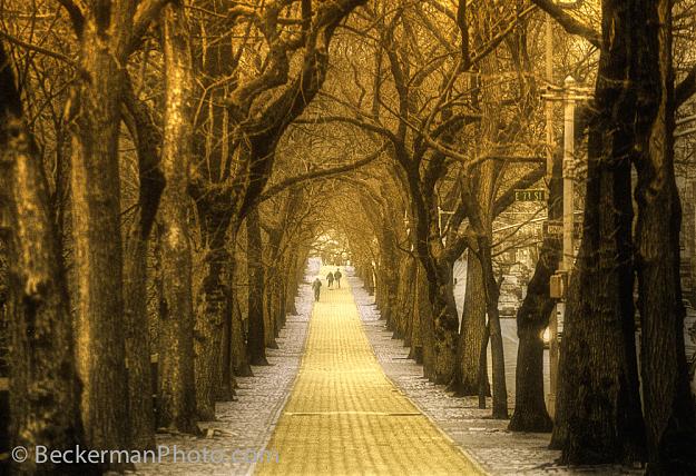 Click to Enlarge

Name: streets-of-gold-beckermanphoto.jpg
Size: 468 KB