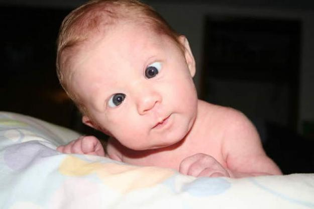 Click to Enlarge

Name: funny_faces_baby.jpg
Size: 30 KB