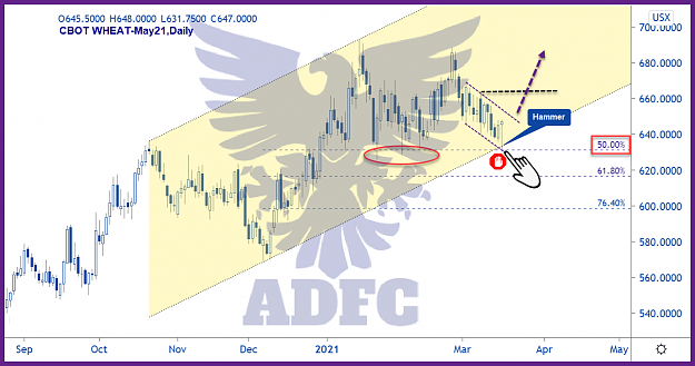 Click to Enlarge

Name: wheat may21 daily.png
Size: 137 KB