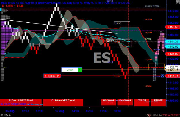Click to Enlarge

Name: ES 09-21 (12 Renko) 2021_08_17 (19_08_43).png
Size: 79 KB