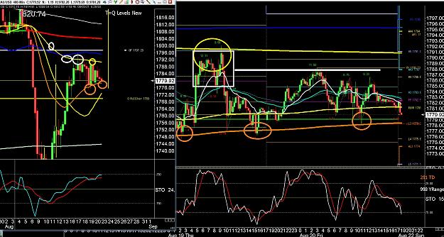 Click to Enlarge

Name: 6 gold 1.jpg
Size: 531 KB