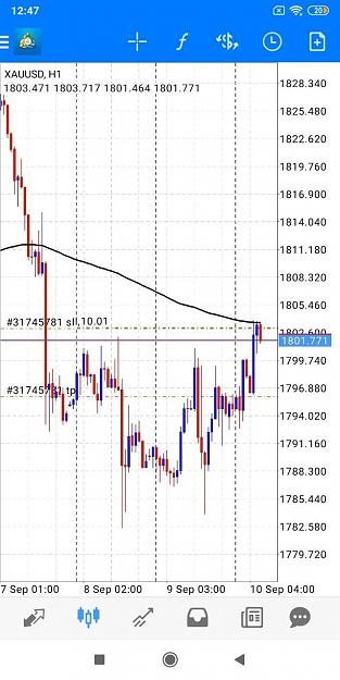 Click to Enlarge

Name: Screenshot_2021-09-10-12-47-34-912_net.metaquotes.metatrader4.jpg
Size: 173 KB