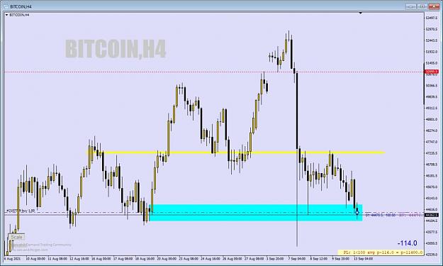 Click to Enlarge

Name: BTC 011.jpg
Size: 61 KB