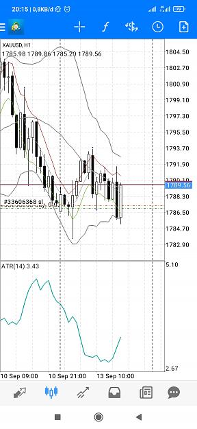 Click to Enlarge

Name: Screenshot_2021-09-13-20-15-35-329_net.metaquotes.metatrader4.jpg
Size: 537 KB
