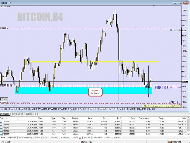 Click to Enlarge

Name: BTC 012.jpg
Size: 111 KB